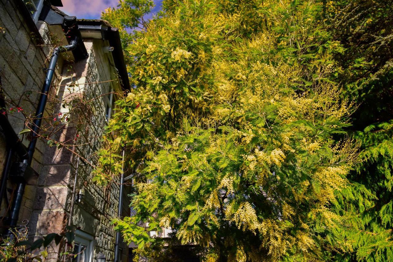 Ward Avenue B&B Cowes  Eksteriør bilde